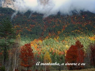 A montanha, a árvore e eu
 
