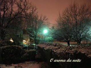 O aroma da noite
 