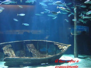 A luz sobre o
esquecimento
 