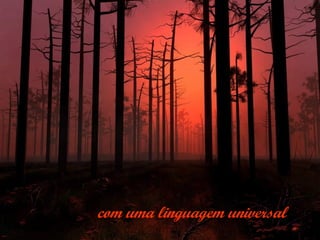com uma linguagem universal
 