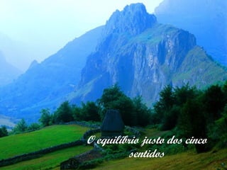 O equilíbrio justo dos cinco
          sentidos
 