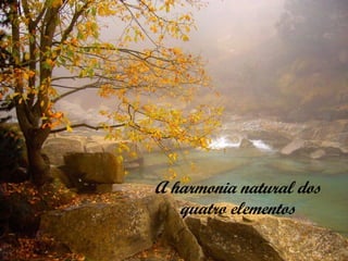 A harmonia natural dos
   quatro elementos
 