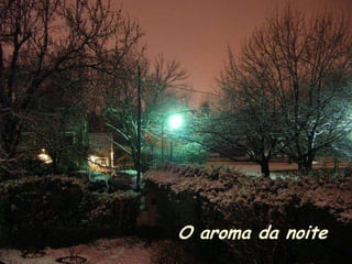 O aroma da noite
 