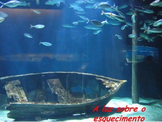 A luz sobre o
esquecimento
 