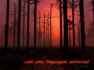 com uma linguagem universal
 