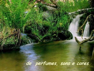 de perfumes, sons e cores
 