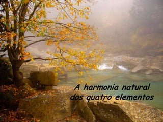 A harmonia natural
dos quatro elementos
 