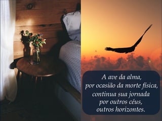 A ave da alma,
por ocasião da morte física,
continua sua jornada
por outros céus,
outros horizontes.
 
