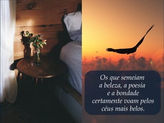 Os que semeiam
a beleza, a poesia
e a bondade
certamente voam pelos
céus mais belos.
 