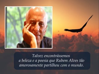Talvez encontrássemos
a beleza e a poesia que Rubem Alves tão
amorosamente partilhou com o mundo.
 