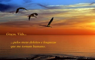 Graças, Vida...

   …pelos meus defeitos e fraquezas
   que me tornam humano.
 