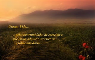 Graças, Vida...

   …pelas oportunidades de exercitar a
   paciência, adquirir experiência
   e ganhar sabedoria.
 