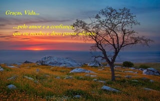 Graças, Vida...

   …pelo amor e a confiança,
   que eu recebo e devo passar adiante.
 