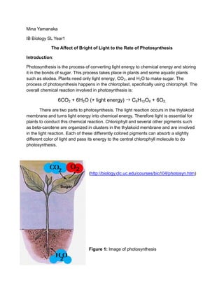 Mina Yamanaka

IB Biology SL Year1

             The Affect of Bright of Light to the Rate of Photosynthesis

Introduction:

Photosynthesis is the process of converting light energy to chemical energy and storing
it in the bonds of sugar. This process takes place in plants and some aquatic plants
such as elodea. Plants need only light energy, CO2, and H2O to make sugar. The
process of photosynthesis happens in the chloroplast, specifically using chlorophyll. The
overall chemical reaction involved in photosynthesis is:

                6CO2 + 6H2O (+ light energy)           C6H12O6 + 6O2.
        There are two parts to photosynthesis. The light reaction occurs in the thylakoid
membrane and turns light energy into chemical energy. Therefore light is essential for
plants to conduct this chemical reaction. Chlorophyll and several other pigments such
as beta-carotene are organized in clusters in the thylakoid membrane and are involved
in the light reaction. Each of these differently colored pigments can absorb a slightly
different color of light and pass its energy to the central chlorophyll molecule to do
photosynthesis.




                                 (http://biology.clc.uc.edu/courses/bio104/photosyn.htm)




                                 Figure 1: Image of photosynthesis
 