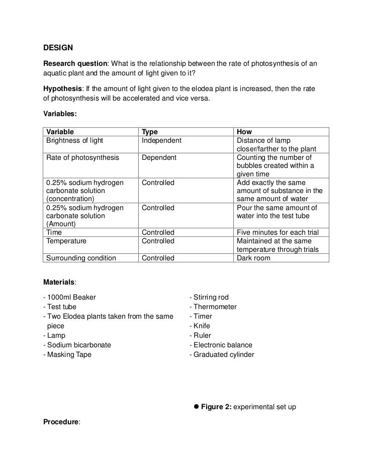 chlorophyll lab report chlorophyll lab report