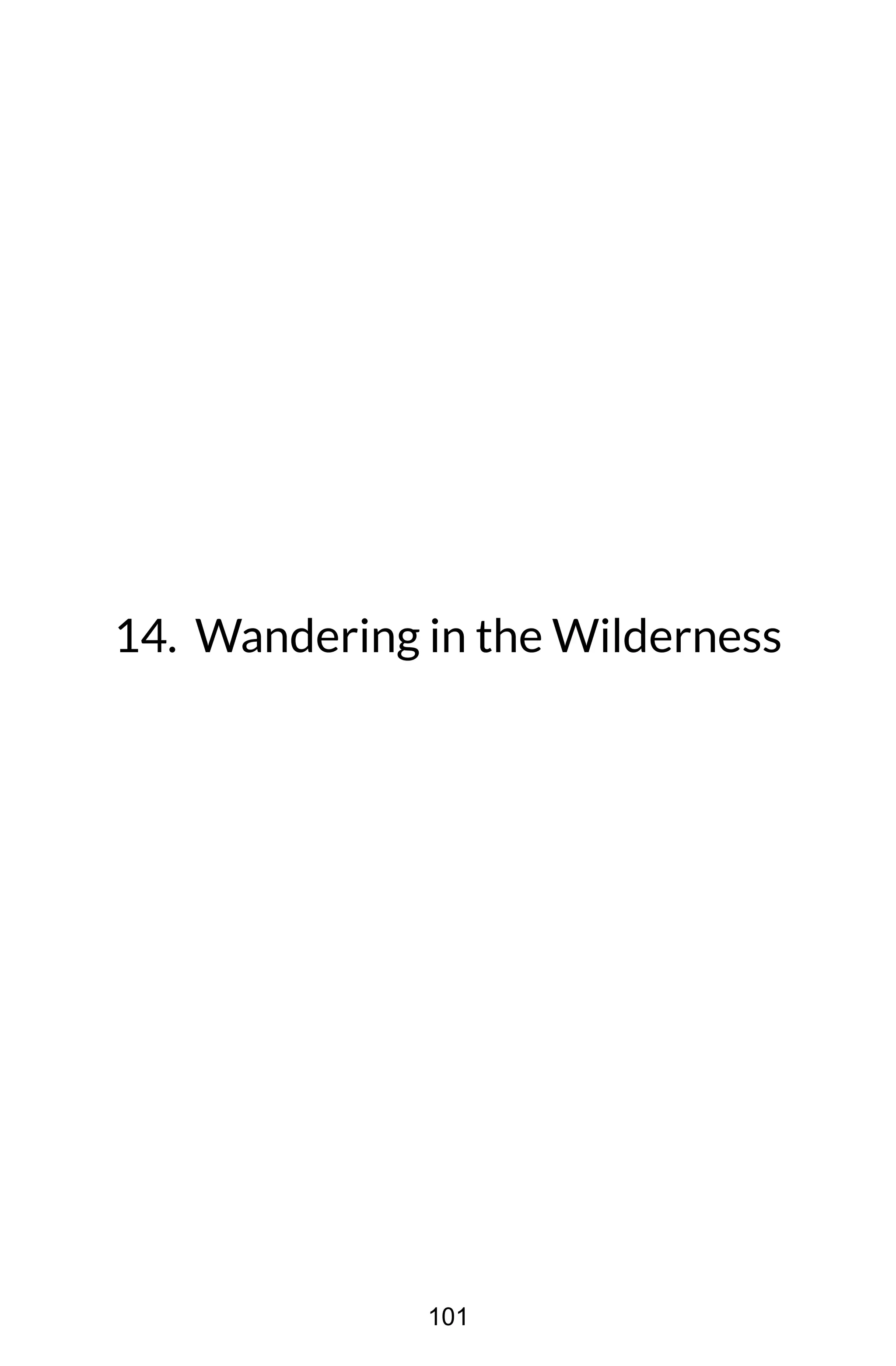 14. Wandering in the Wilderness
101
 