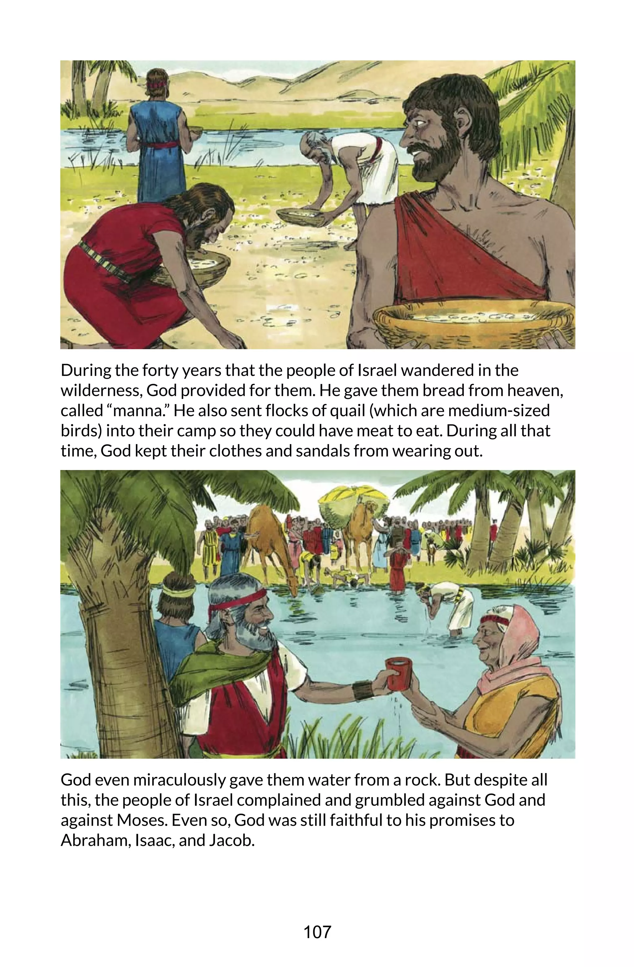 During the forty years that the people of Israel wandered in the
wilderness, God provided for them. He gave them bread from heaven,
called “manna.” He also sent flocks of quail (which are medium-sized
birds) into their camp so they could have meat to eat. During all that
time, God kept their clothes and sandals from wearing out.
God even miraculously gave them water from a rock. But despite all
this, the people of Israel complained and grumbled against God and
against Moses. Even so, God was still faithful to his promises to
Abraham, Isaac, and Jacob.
107
 
