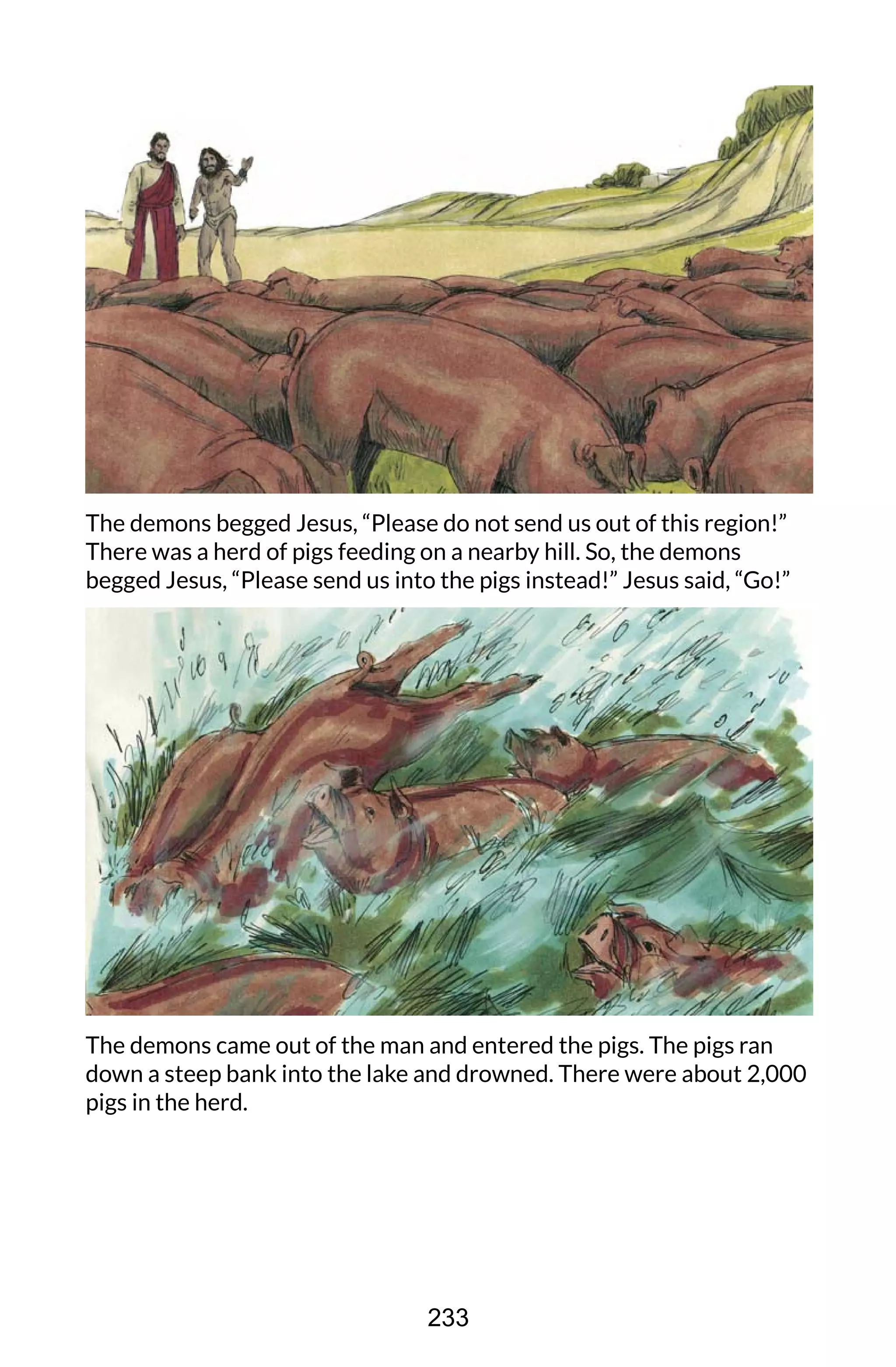The demons begged Jesus, “Please do not send us out of this region!”
There was a herd of pigs feeding on a nearby hill. So, the demons
begged Jesus, “Please send us into the pigs instead!” Jesus said, “Go!”
The demons came out of the man and entered the pigs. The pigs ran
down a steep bank into the lake and drowned. There were about 2,000
pigs in the herd.
233
 