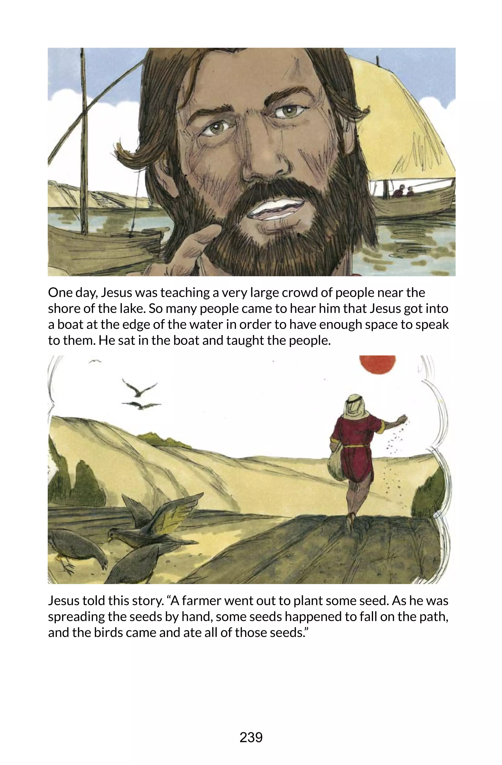 One day, Jesus was teaching a very large crowd of people near the
shore of the lake. So many people came to hear him that Jesus got into
a boat at the edge of the water in order to have enough space to speak
to them. He sat in the boat and taught the people.
Jesus told this story. “A farmer went out to plant some seed. As he was
spreading the seeds by hand, some seeds happened to fall on the path,
and the birds came and ate all of those seeds.”
239
 