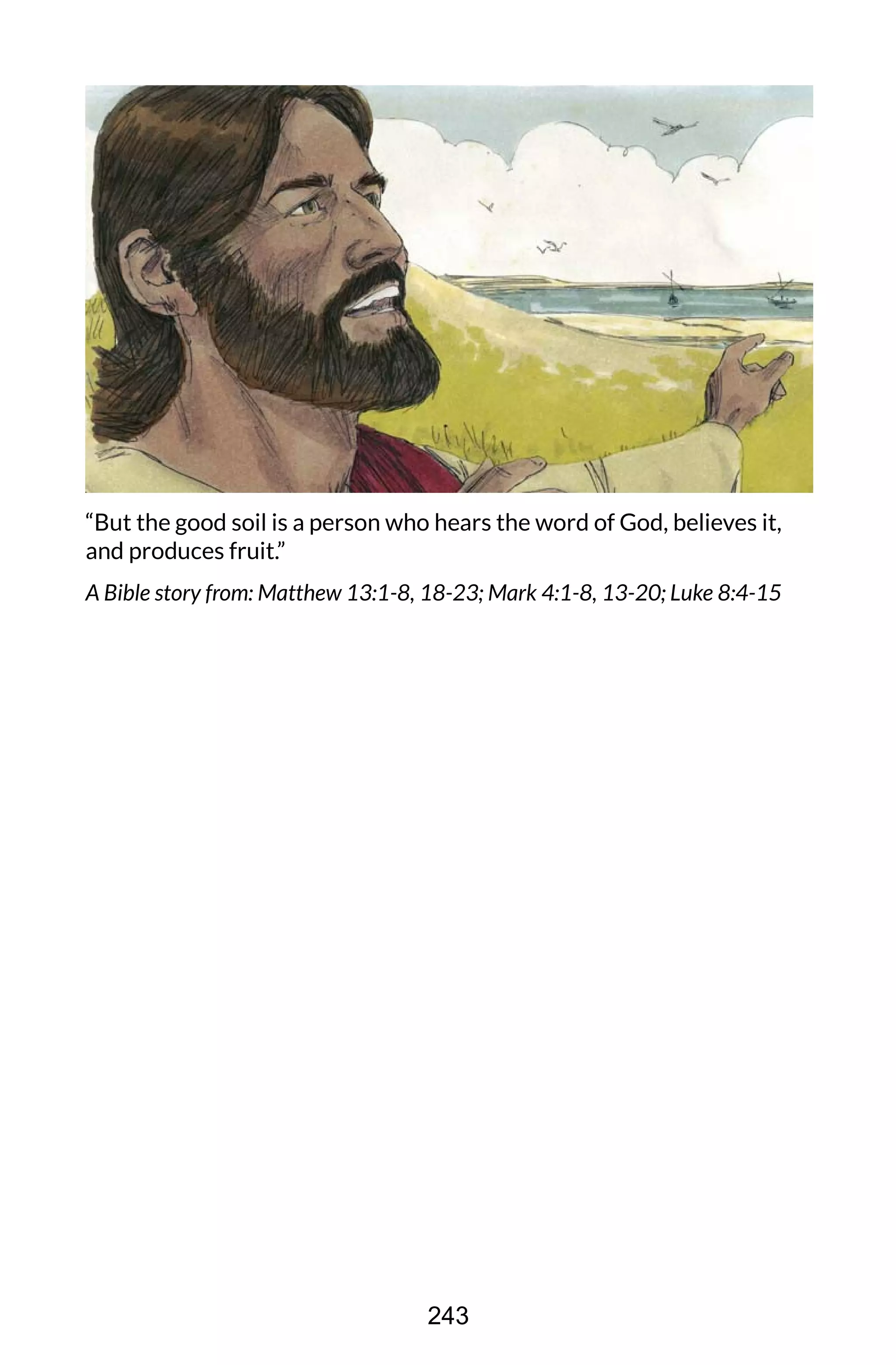 “But the good soil is a person who hears the word of God, believes it,
and produces fruit.”
A Bible story from: Matthew 13:1-8, 18-23; Mark 4:1-8, 13-20; Luke 8:4-15
243
 