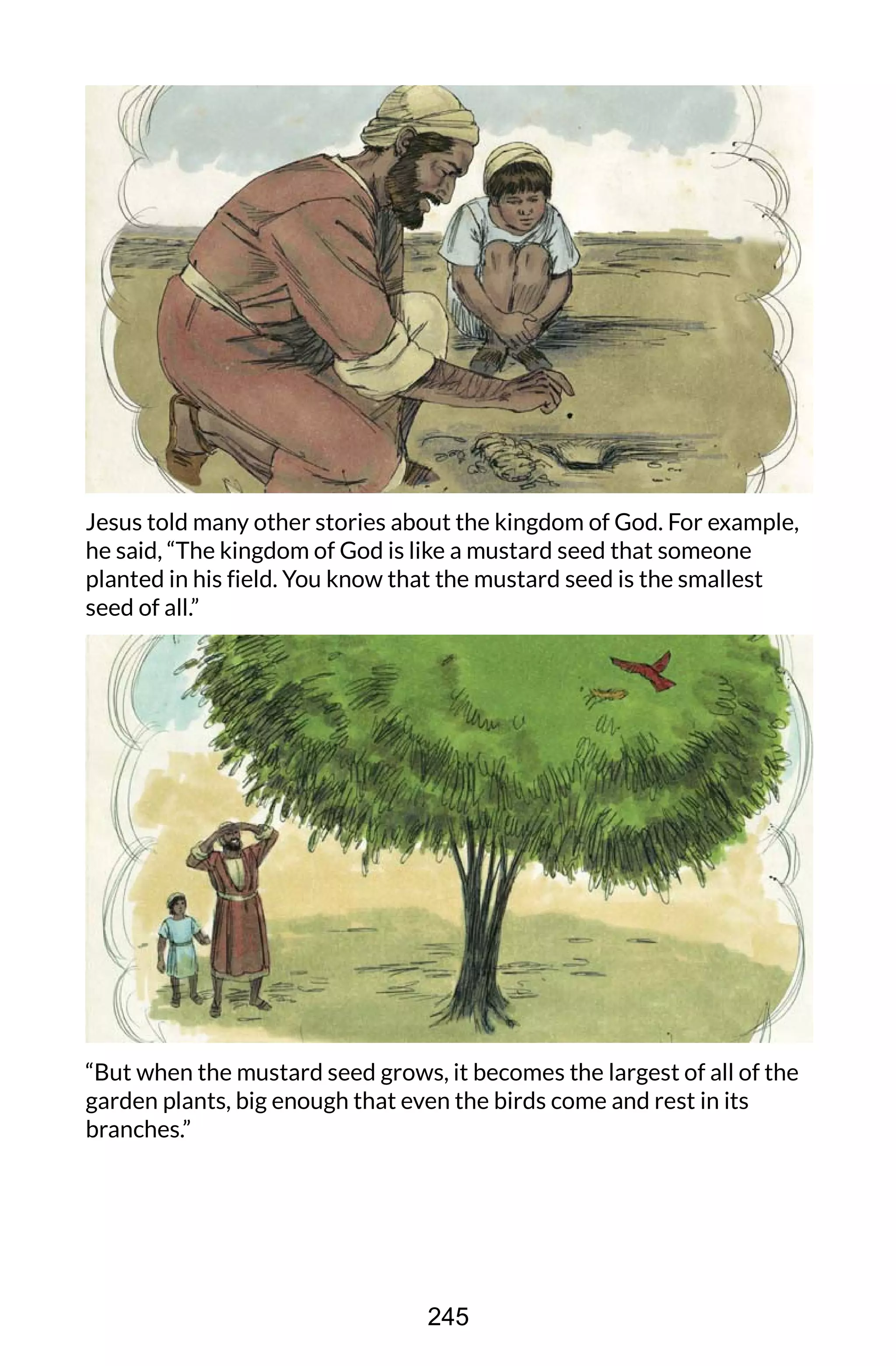 Jesus told many other stories about the kingdom of God. For example,
he said, “The kingdom of God is like a mustard seed that someone
planted in his field. You know that the mustard seed is the smallest
seed of all.”
“But when the mustard seed grows, it becomes the largest of all of the
garden plants, big enough that even the birds come and rest in its
branches.”
245
 