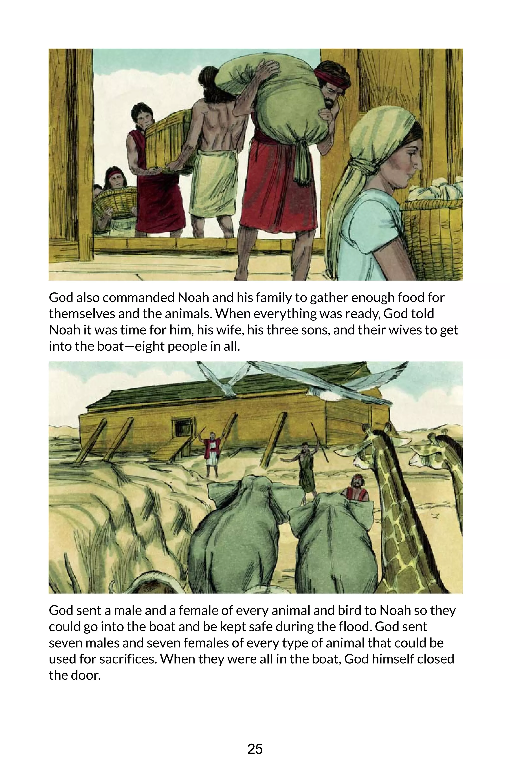 God also commanded Noah and his family to gather enough food for
themselves and the animals. When everything was ready, God told
Noah it was time for him, his wife, his three sons, and their wives to get
into the boat—eight people in all.
God sent a male and a female of every animal and bird to Noah so they
could go into the boat and be kept safe during the flood. God sent
seven males and seven females of every type of animal that could be
used for sacrifices. When they were all in the boat, God himself closed
the door.
25
 