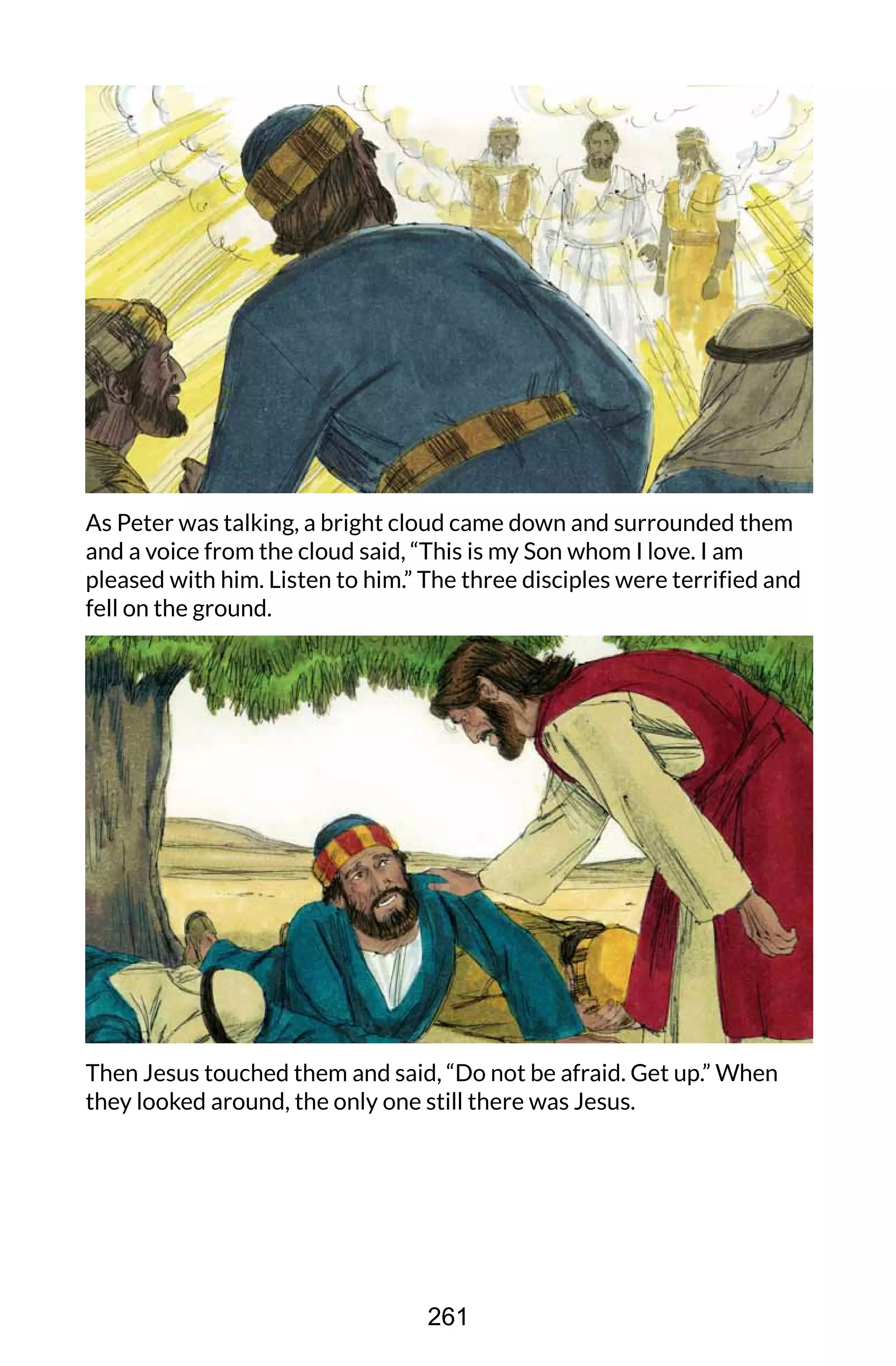 As Peter was talking, a bright cloud came down and surrounded them
and a voice from the cloud said, “This is my Son whom I love. I am
pleased with him. Listen to him.” The three disciples were terrified and
fell on the ground.
Then Jesus touched them and said, “Do not be afraid. Get up.” When
they looked around, the only one still there was Jesus.
261
 