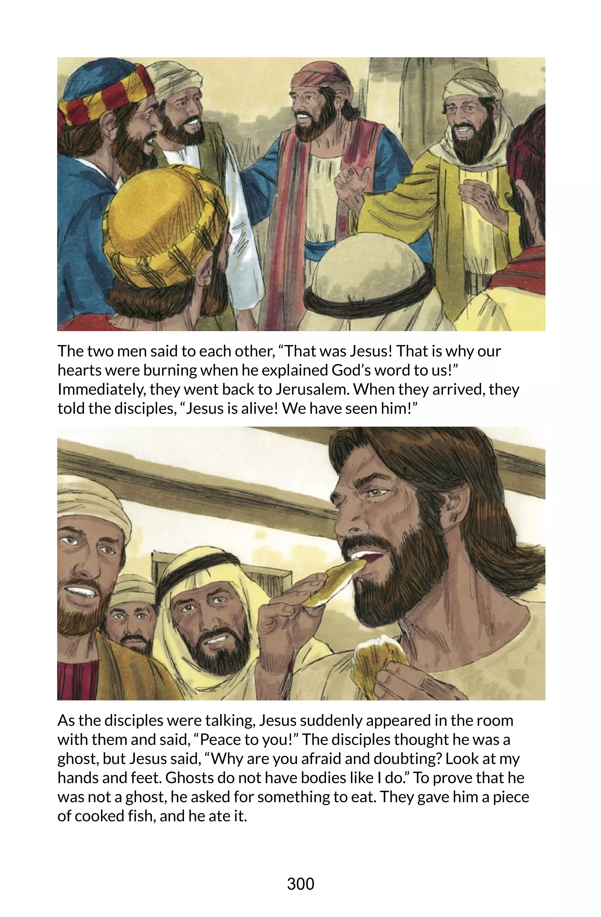 The two men said to each other, “That was Jesus! That is why our
hearts were burning when he explained God’s word to us!”
Immediately, they went back to Jerusalem. When they arrived, they
told the disciples, “Jesus is alive! We have seen him!”
As the disciples were talking, Jesus suddenly appeared in the room
with them and said, “Peace to you!” The disciples thought he was a
ghost, but Jesus said, “Why are you afraid and doubting? Look at my
hands and feet. Ghosts do not have bodies like I do.” To prove that he
was not a ghost, he asked for something to eat. They gave him a piece
of cooked fish, and he ate it.
300
 