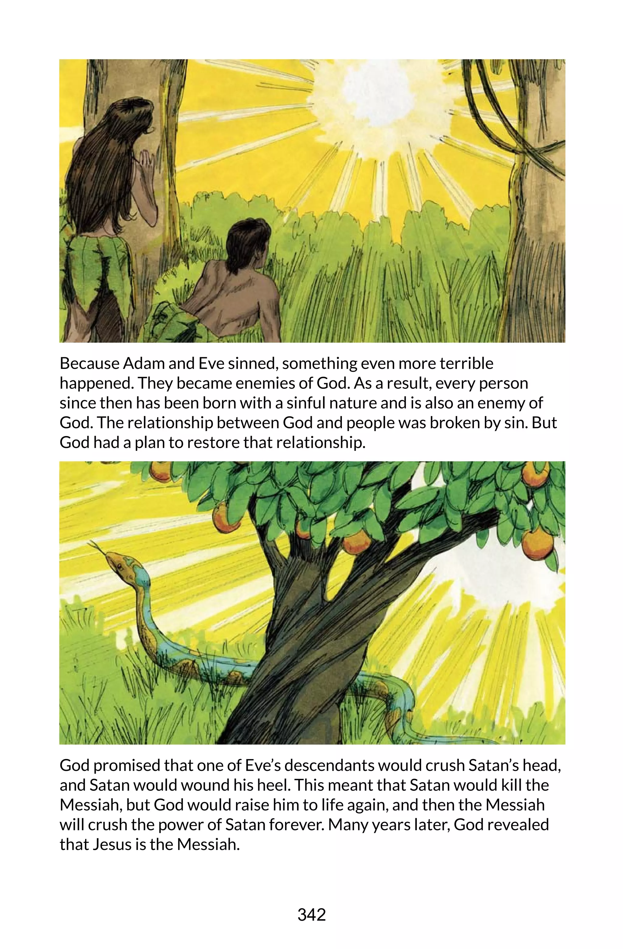 Because Adam and Eve sinned, something even more terrible
happened. They became enemies of God. As a result, every person
since then has been born with a sinful nature and is also an enemy of
God. The relationship between God and people was broken by sin. But
God had a plan to restore that relationship.
God promised that one of Eve’s descendants would crush Satan’s head,
and Satan would wound his heel. This meant that Satan would kill the
Messiah, but God would raise him to life again, and then the Messiah
will crush the power of Satan forever. Many years later, God revealed
that Jesus is the Messiah.
342
 