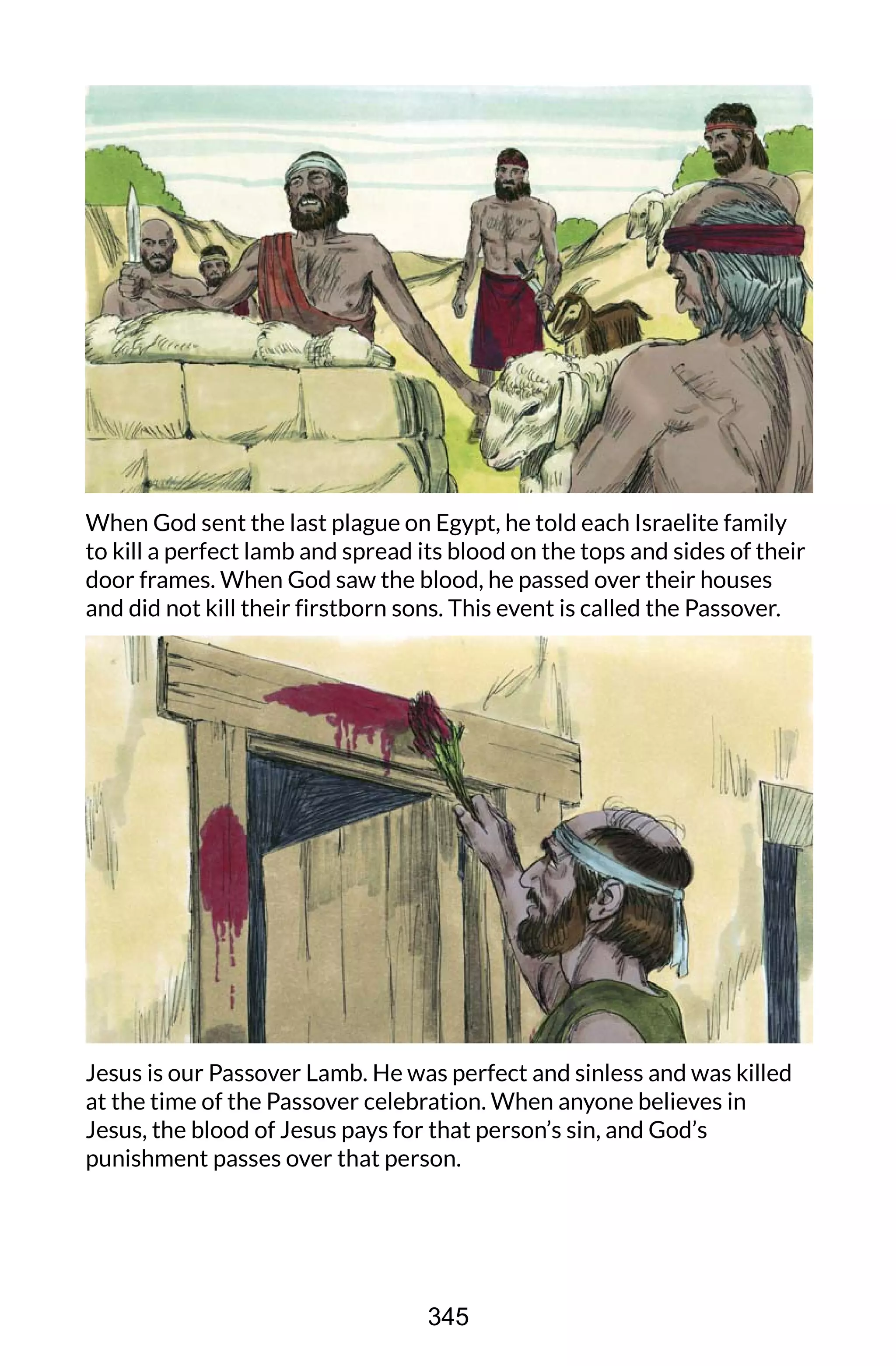 When God sent the last plague on Egypt, he told each Israelite family
to kill a perfect lamb and spread its blood on the tops and sides of their
door frames. When God saw the blood, he passed over their houses
and did not kill their firstborn sons. This event is called the Passover.
Jesus is our Passover Lamb. He was perfect and sinless and was killed
at the time of the Passover celebration. When anyone believes in
Jesus, the blood of Jesus pays for that person’s sin, and God’s
punishment passes over that person.
345
 
