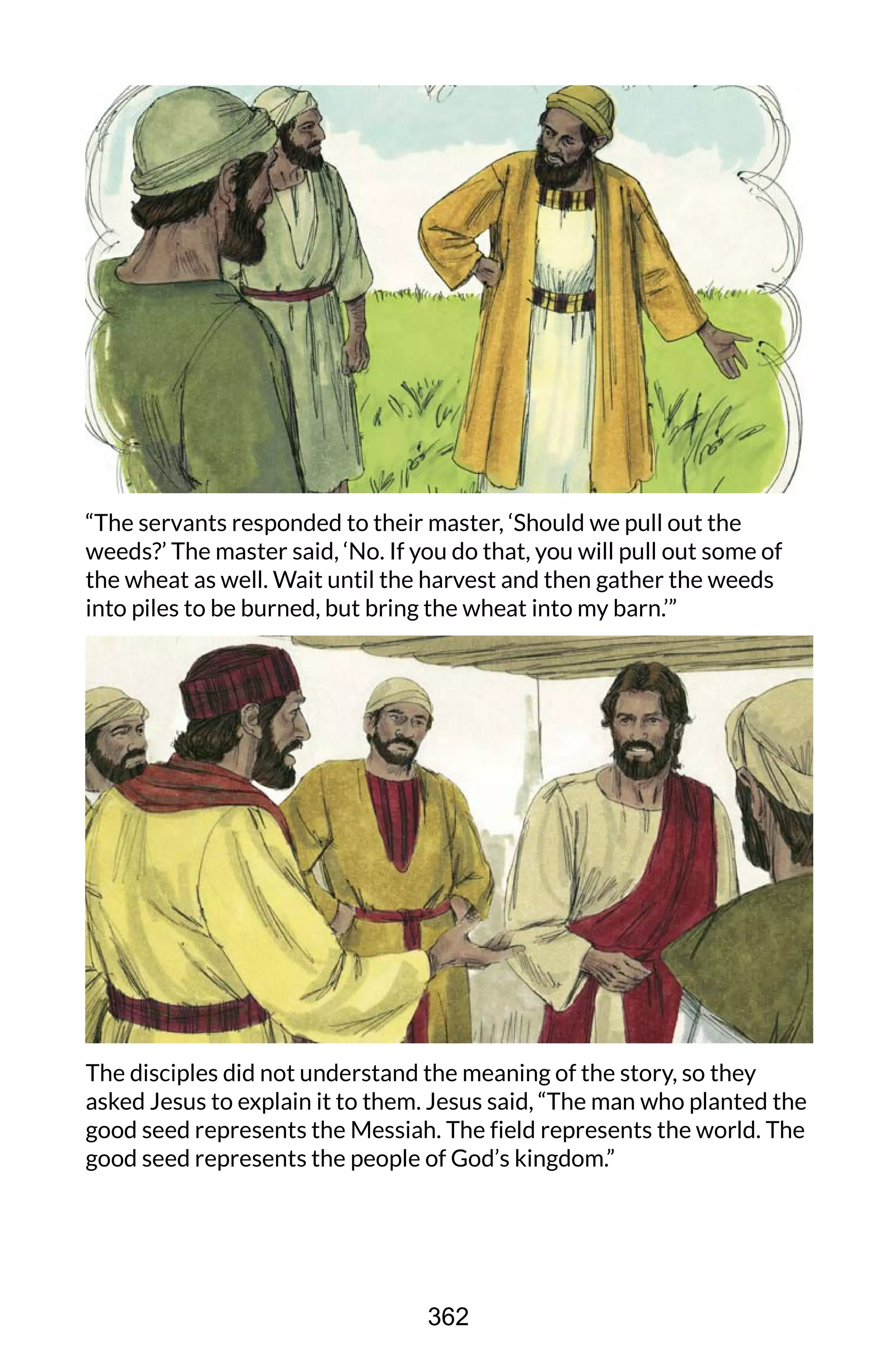“The servants responded to their master, ‘Should we pull out the
weeds?’ The master said, ‘No. If you do that, you will pull out some of
the wheat as well. Wait until the harvest and then gather the weeds
into piles to be burned, but bring the wheat into my barn.’”
The disciples did not understand the meaning of the story, so they
asked Jesus to explain it to them. Jesus said, “The man who planted the
good seed represents the Messiah. The field represents the world. The
good seed represents the people of God’s kingdom.”
362
 
