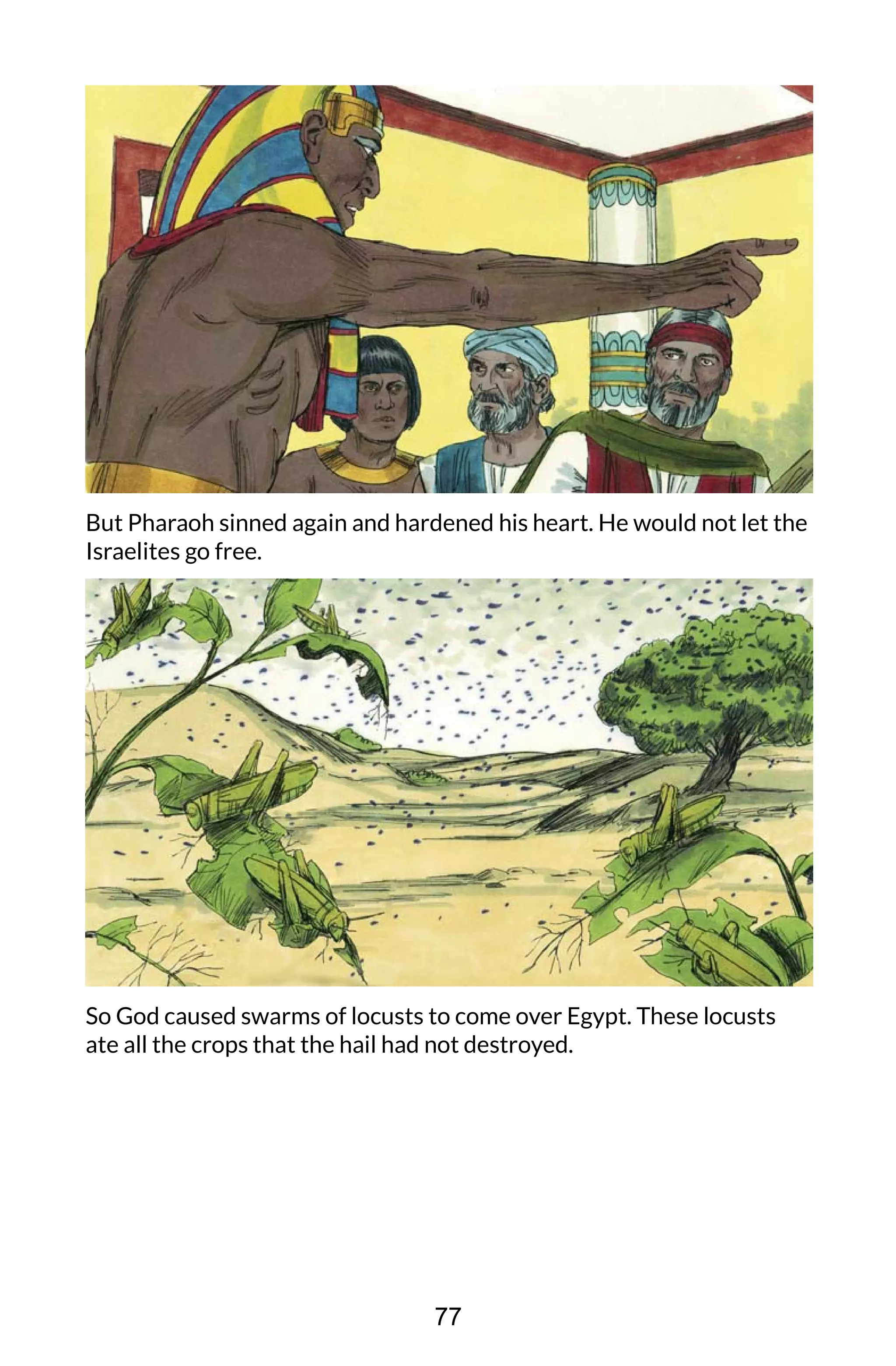 But Pharaoh sinned again and hardened his heart. He would not let the
Israelites go free.
So God caused swarms of locusts to come over Egypt. These locusts
ate all the crops that the hail had not destroyed.
77
 