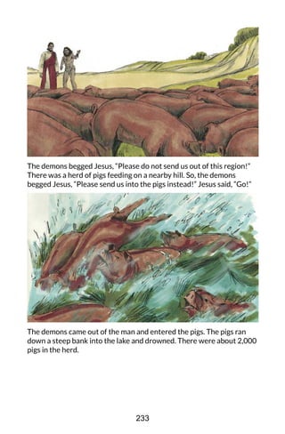 The demons begged Jesus, “Please do not send us out of this region!”
There was a herd of pigs feeding on a nearby hill. So, the demons
begged Jesus, “Please send us into the pigs instead!” Jesus said, “Go!”
The demons came out of the man and entered the pigs. The pigs ran
down a steep bank into the lake and drowned. There were about 2,000
pigs in the herd.
233
 