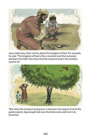 Jesus told many other stories about the kingdom of God. For example,
he said, “The kingdom of God is like a mustard seed that someone
planted in his field. You know that the mustard seed is the smallest
seed of all.”
“But when the mustard seed grows, it becomes the largest of all of the
garden plants, big enough that even the birds come and rest in its
branches.”
245
 