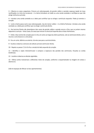 ESCOLA BÁSICA E SECUNDÁRIA DE FREAMUNDE 2012/2013



3 – Observa os vasos sanguíneos. Procura um esbranquiçado, de grande calibre e paredes espessas (pode ter duas
ramificações no início da curvatura) – é a Aorta (introduza um dedo ou uma sonda canelada e certifique-se que não
atinge nenhuma aurícula);

4 – Introduz uma sonda canelada ou o dedo para certificar que se atinge o ventrículo esquerdo. Podes já orientar o
coração.

5 – Junto à Aorta passa outro vaso esbranquiçado, mas de menor calibre – é a Artéria Pulmonar. Introduz uma sonda
canelada ou o dedo para certificar que se atinge o ventrículo direito.

6 – Na Aurícula Direita vão desembocar dois vasos de grande calibre e parede escura e fina, que se juntam mesmo
adjacente à aurícula – Veias Cavas; Os vasos que entram na Aurícula Esquerda são as Veias Pulmonares.

7 – Volte a face ventral do coração para ti e faz um corte ao longo da artéria pulmonar, até ao ventrículo direito, com o
recurso a uma tesoura e a uma pinça.

8 – Faz um corte, idêntico ao anterior, da veia cava para a aurícula direita.

9 – localiza e observa a estrutura da válvula aurículo-ventricular direita.

10 – Repete os passos 7, 8 e 9 e faz o estudo do lado esquerdo do coração.

11 – Identifica o septo interventricular e compara a espessura das paredes dos ventrículos; Visualiza as cordas
tendinosas.

12 – Localiza e observa as válvulas sigmóides.

13 – Efetua cortes transversais a diferentes níveis do coração, conforme o esquematizado na imagem em anexo e
observa-os.



(não te esqueças de efetuar os teus apontamentos)




           _________________________________________________________________________________

                                                                                                                               2
 