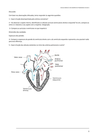 ESCOLA BÁSICA E SECUNDÁRIA DE FREAMUNDE 2012/2013



Discussão:

Com base nas observações efetuadas, tenta responder às seguintes questões:

1 – Qual a função desempenhada pela artérias coronárias?

2 – Ao observar o aspeto interno, identificaste as válvulas aurículo-ventriculares direita e esquerda? Se sim, compara-as
entre si e relaciona o seu aspeto com a respetiva designação.

3– Compara as aurículas e ventrículos no que respeita à:

Dimensões das cavidades

Espessura das paredes

4– Compara a espessura da parede do ventrículo direito com a do ventrículo esquerdo e apresenta uma possível razão
para essa diferença.

5 – Qual a função das válvulas existentes no início das artérias pulmonares e aorta?




             _________________________________________________________________________________

                                                                                                                            3
 