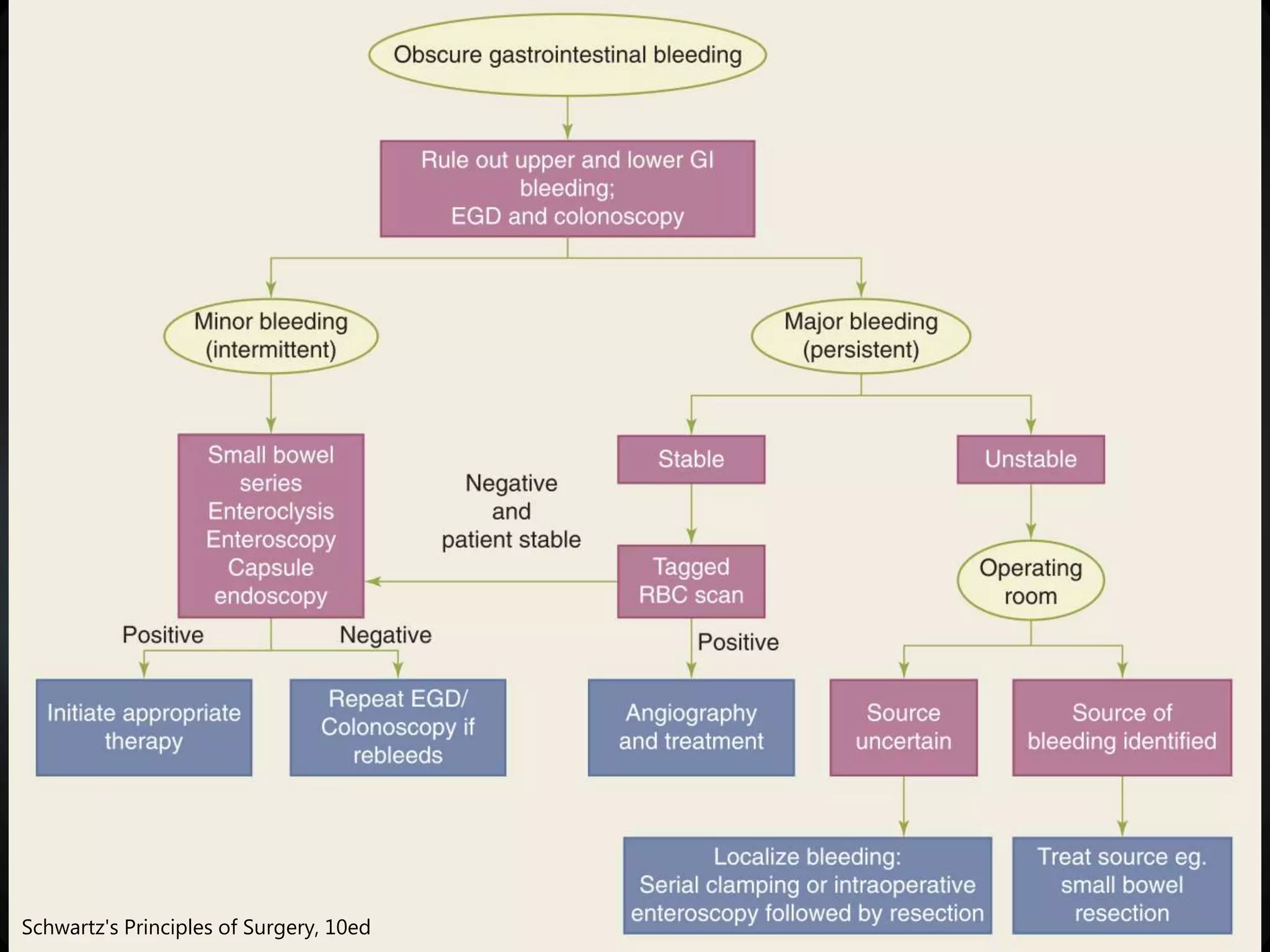 Obscure GI Bleeding | PPTX