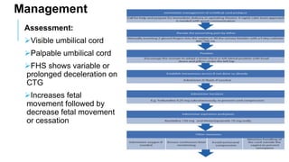 Assessment:
Visible umbilical cord
Palpable umbilical cord
FHS shows variable or
prolonged deceleration on
CTG
Increases fetal
movement followed by
decrease fetal movement
or cessation
Management
 