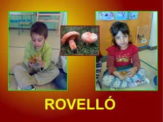 ROVELLÓ
 
