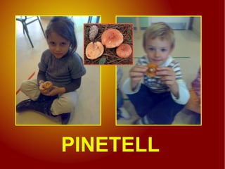PINETELL
 