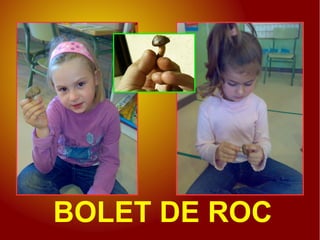 BOLET DE ROC
 