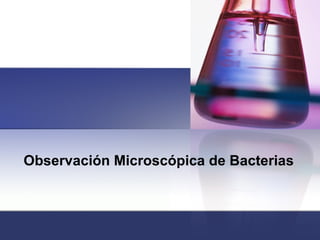 Observación Microscópica de Bacterias 