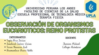 OBSERVACIÓN DE ORGANISMOS EUCARIOTICOS REINO PROTISTAS.pdf