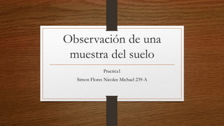 Observación de una
muestra del suelo
Practica1
Simon Flores Nicolee Michael 239-A
 