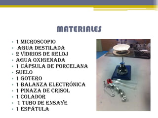 MATERIALES
•
•
•
•
•
•
•
•
•
•
•
•

1 Microscopio
Agua destilada
2 vidrios de reloj
Agua oxigenada
1 cápsula de porcelana
...