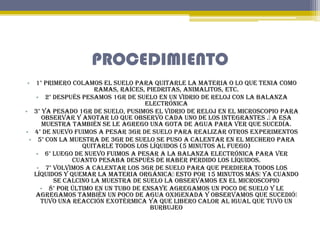 PROCEDIMIENTO
• 1° Primero colamos el suelo para quitarle la materia o lo que tenia como
ramas, raíces, piedritas, animali...