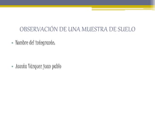 OBSERVACIÓN DE UNA MUESTRA DE SUELO
• Nombre del integrante:
• Acosta Vázquez juan pablo
 