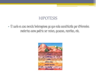 HIPOTESIS
• El suelo es una mezcla heterogénea ya que esta constituida por diferentes
materias como podría ser raíces, gus...