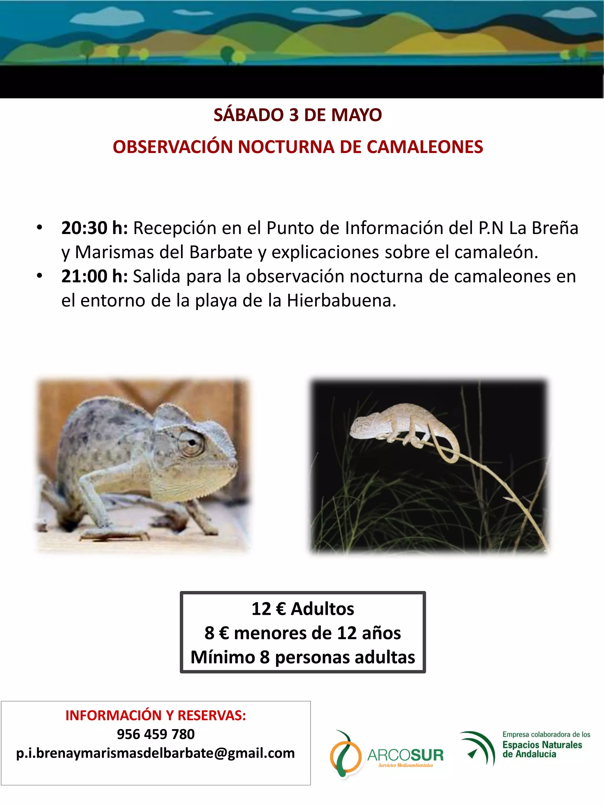 PUNTO DE INFORMACIÓN DEL P.N. LA BREÑA Y MARISMAS DEL BARBATE
INFORMACIÓN Y RESERVAS:
956 459 780
p.i.brenaymarismasdelbarbate@gmail.com
SÁBADO 3 DE MAYO
OBSERVACIÓN NOCTURNA DE CAMALEONES
• 20:30 h: Recepción en el Punto de Información del P.N La Breña
y Marismas del Barbate y explicaciones sobre el camaleón.
• 21:00 h: Salida para la observación nocturna de camaleones en
el entorno de la playa de la Hierbabuena.
12 € Adultos
8 € menores de 12 años
Mínimo 8 personas adultas