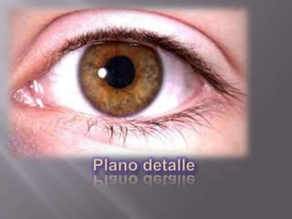 Observación y percepción